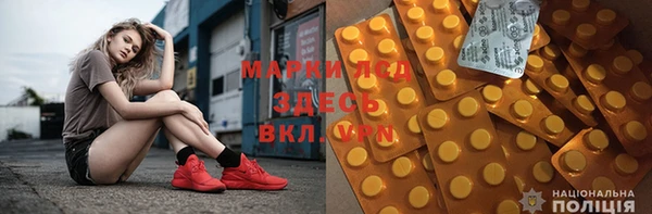 тгк Володарск