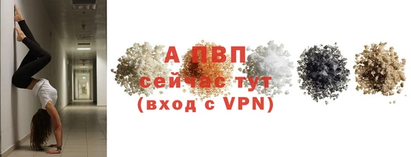 тгк Володарск