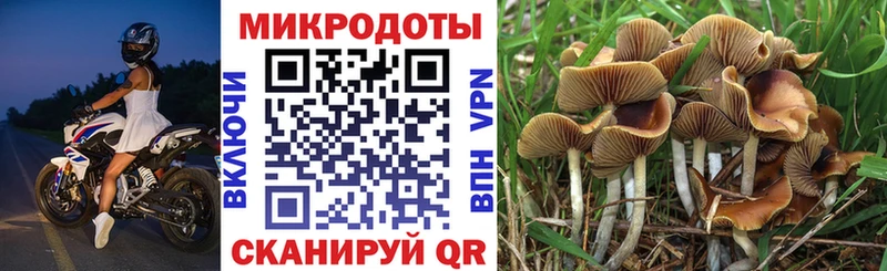 наркота  Саратов  hydra ссылки  Галлюциногенные грибы прущие грибы 
